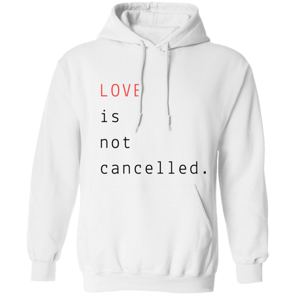Love Is...Unisex pullover