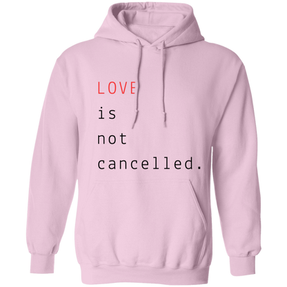 Love Is...Unisex pullover